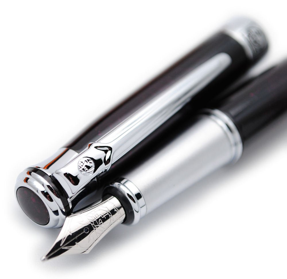 czxwyst Picasso 903 Sweden Flower King Fountain Pen Original Box (Black)