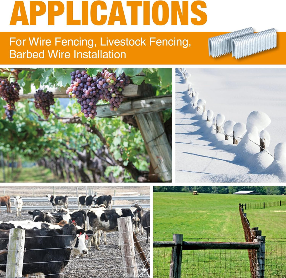 Freeman 10.5-Gauge Fencing Staples | 7/8" | Glue Collated | Galvanized Steel | 1500 Count | Indoor and Outdoor | Livestock Fences, Pet Enclosures, Trellising, Deer Prevention, and Farming | FS105G78