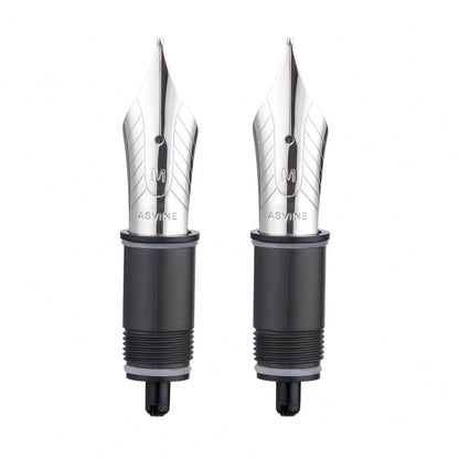 Asvine Set of 2 Number 8 Fountain Pen Replacement 1.1 Stub Nib - Compatible with C2000, V800 and C80- Gold