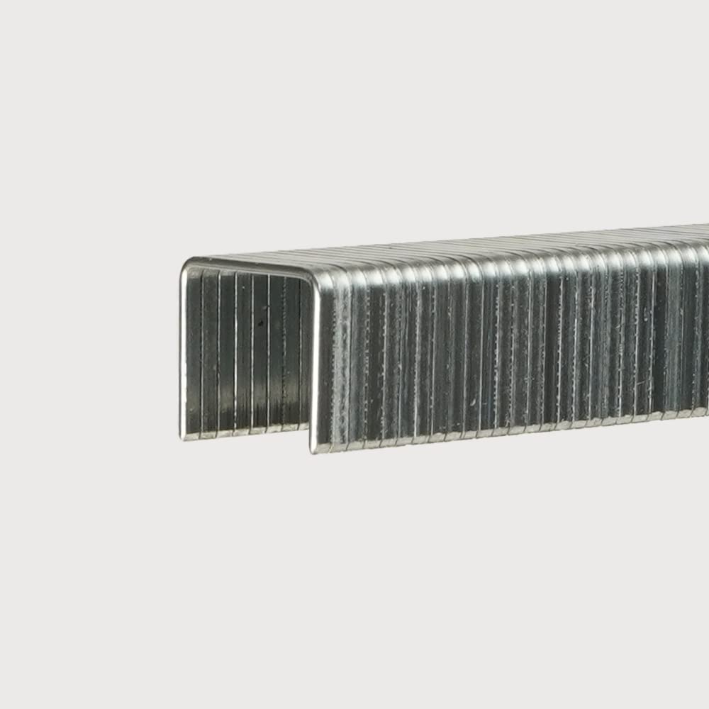 T42002 Staples, 1.2 mm Thick x 10.6 mm Wide, 5/16" (8 mm) Height