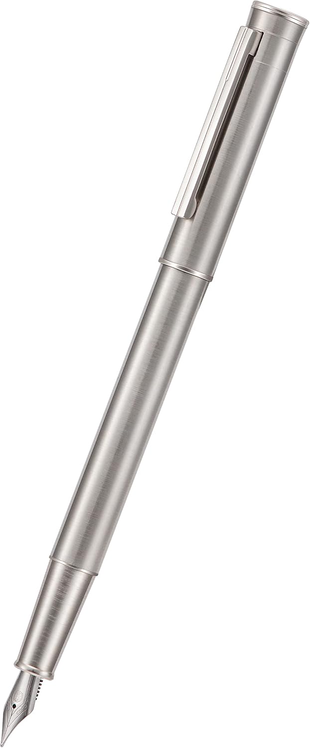 HONG DIAN Forest Pro Silver Stainless Steel Fountain Pen, Extra Fine Nib Classic Design Smooth Writing Pen with Converter and Metal Pen Case Set