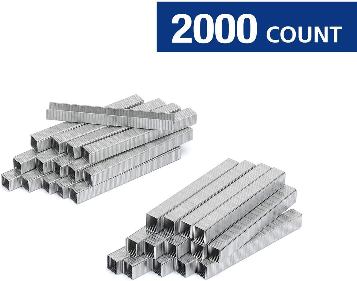 Arrow Fastener General-Purpose Staples Pack Set - Stainless Steel, T50 Compatible - 1/2" & 3/8"