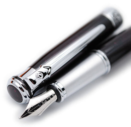 czxwyst Picasso 903 Sweden Flower King Fountain Pen Original Box (Black)